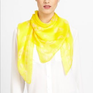 💛 ✨Alexander McQueen scarf